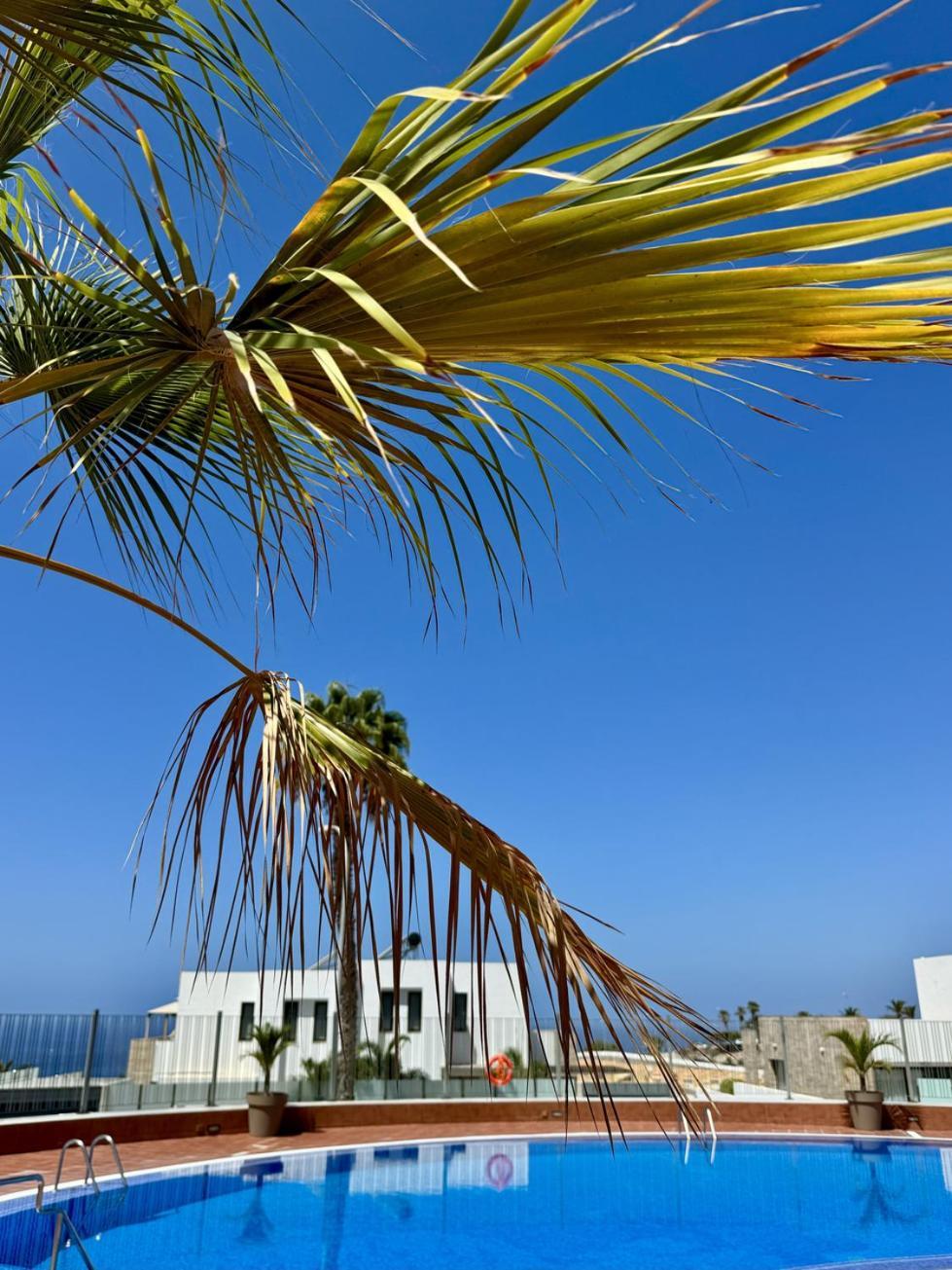 Stunning Apartments With Pool Tenerife Адехе Екстериор снимка