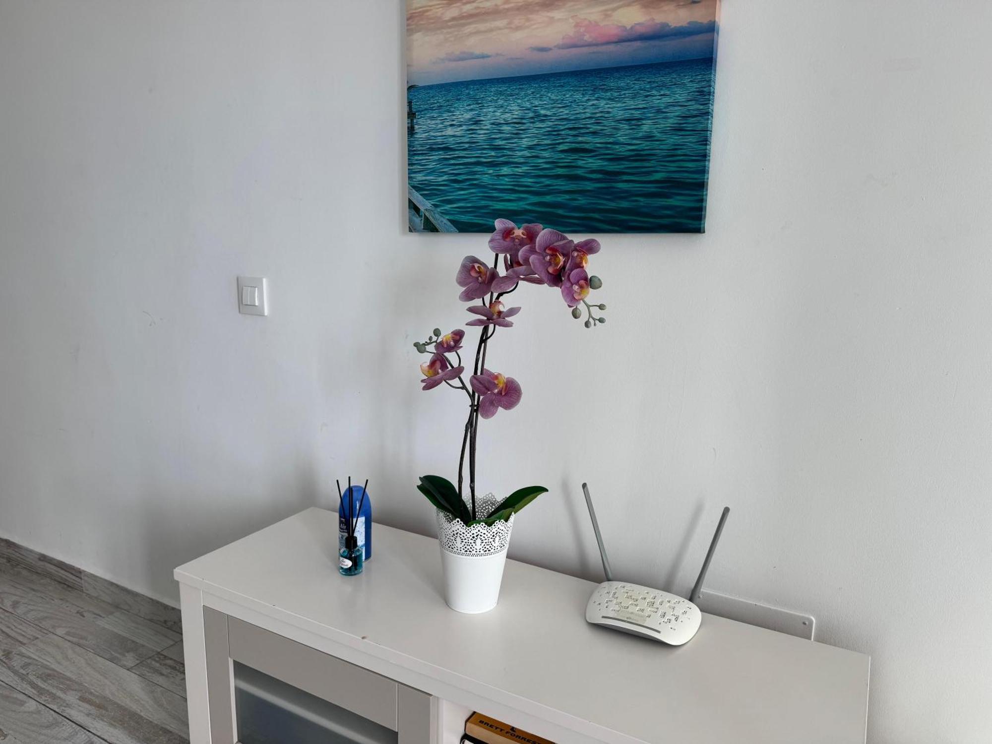 Stunning Apartments With Pool Tenerife Адехе Екстериор снимка