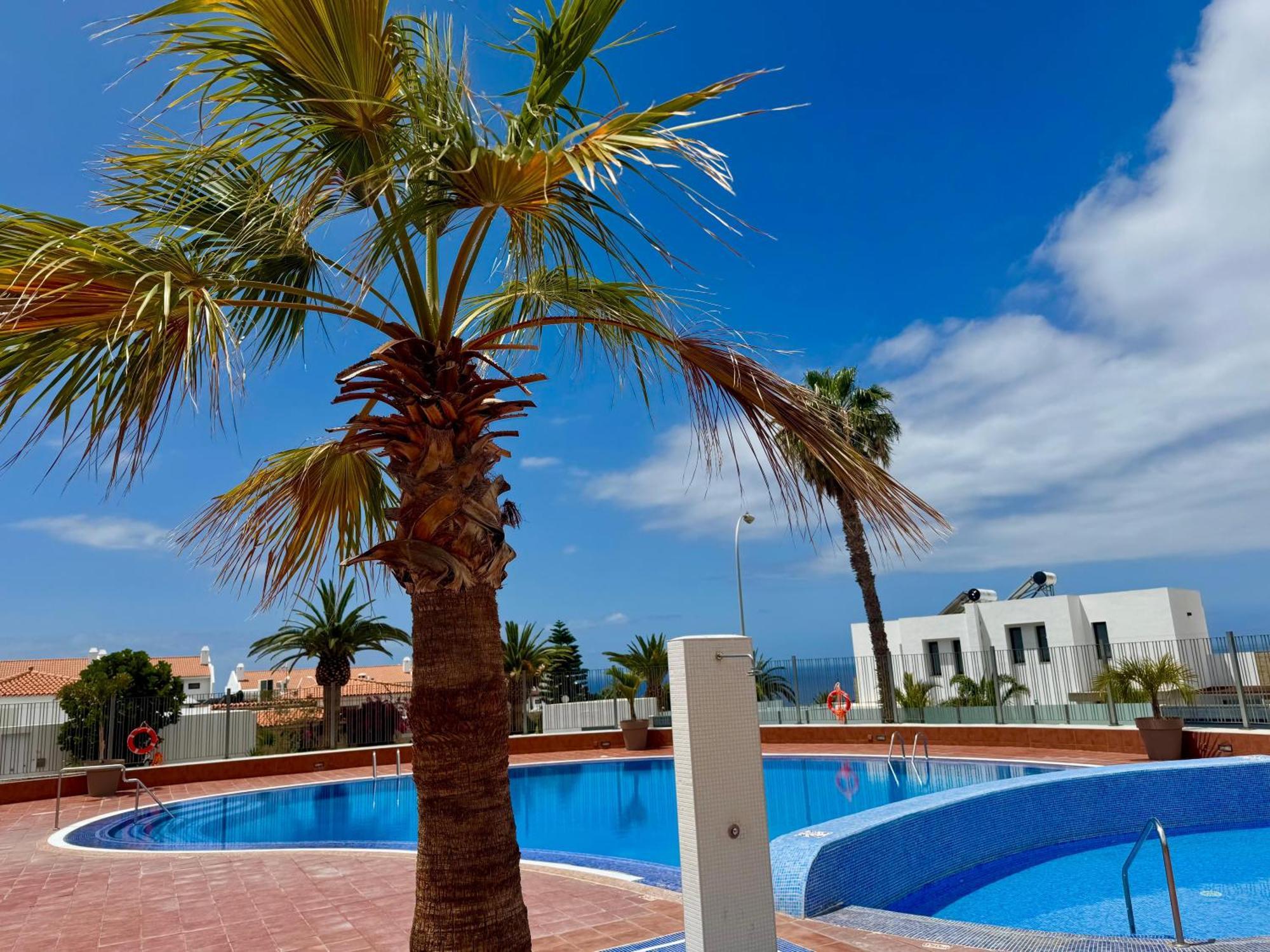Stunning Apartments With Pool Tenerife Адехе Екстериор снимка