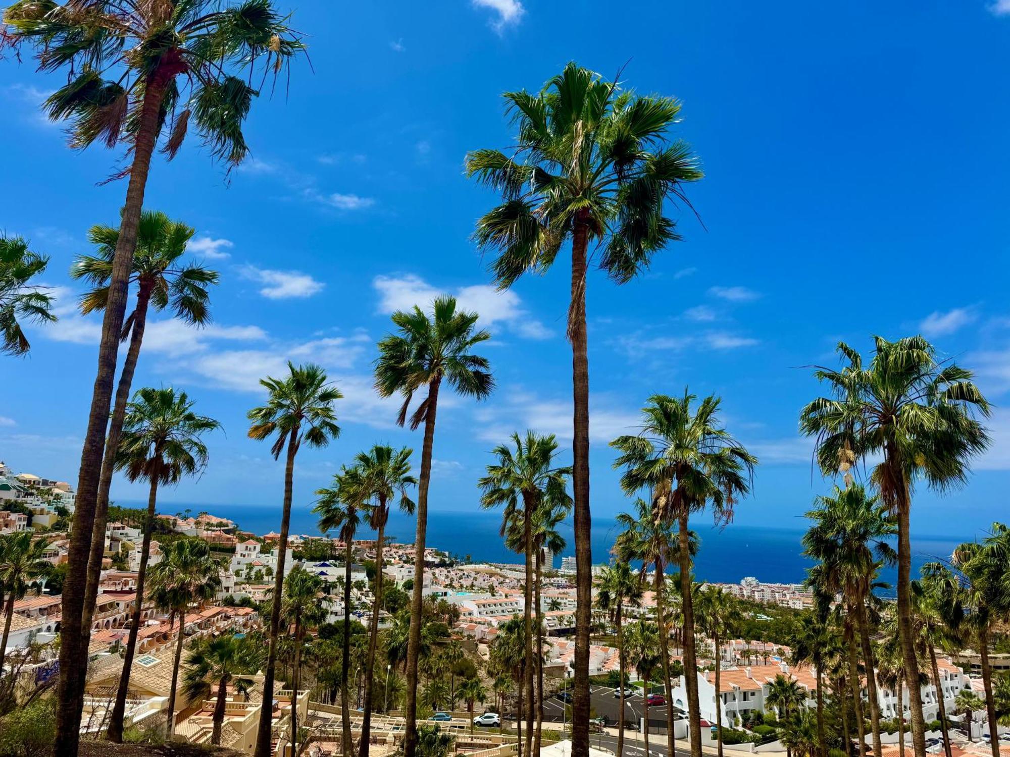 Stunning Apartments With Pool Tenerife Адехе Екстериор снимка